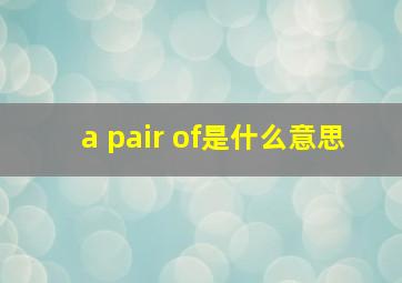 a pair of是什么意思